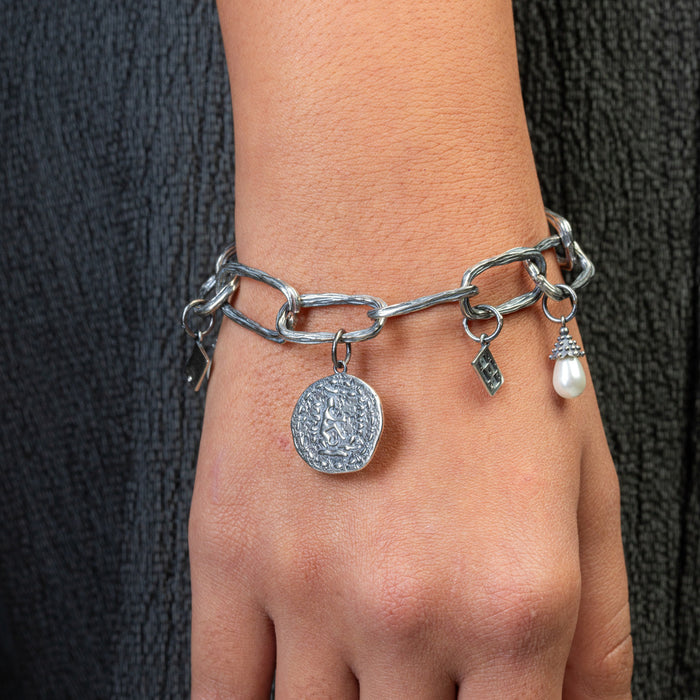 Sterling Silver bracelet The Chain with charms