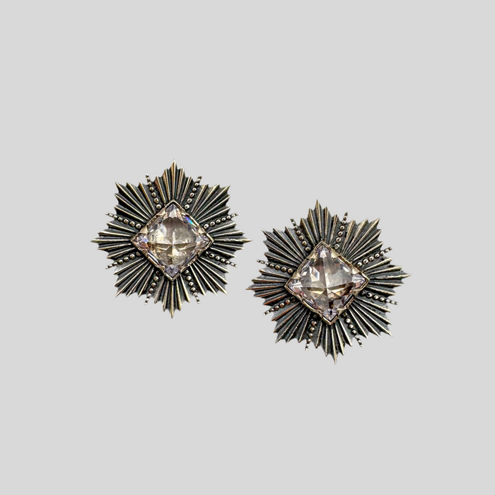 Earrings The Sparkle