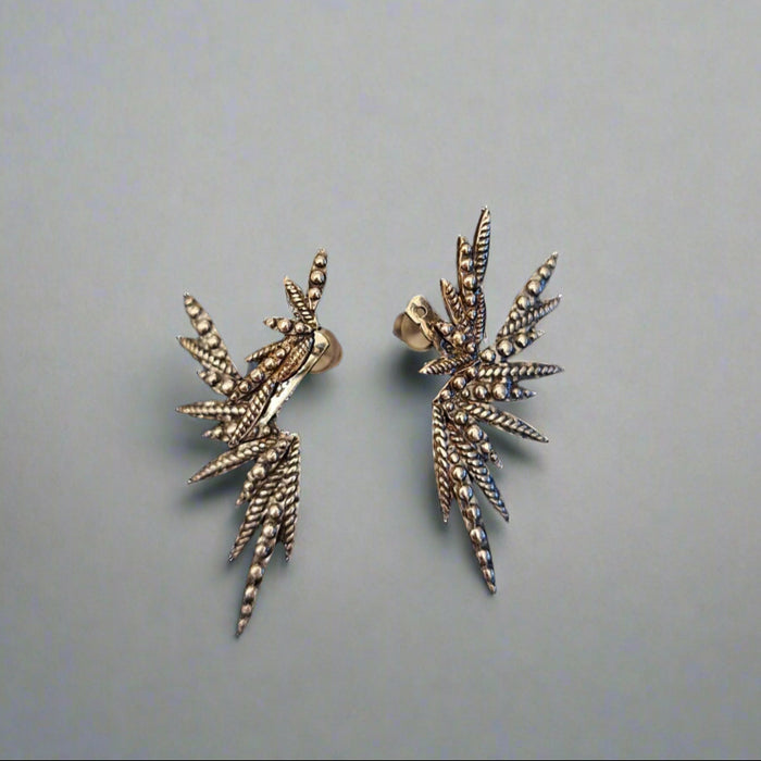Sterling Silver Earrings The Shine